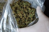 Bild: Beschlagnahmte Drogen