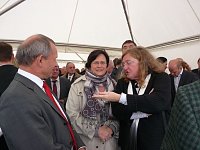Bild: Lieberknecht bei Thermik