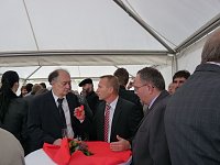 Bild: Lieberknecht bei Thermik