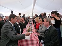 Bild: Lieberknecht bei Thermik