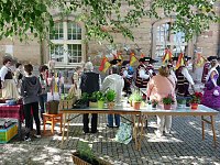 Alles für die Strobel-Orgel Bild: Alles für die Strobel-Orgel