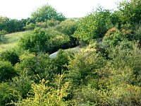 Kupferschieferbergbau Bottendorf Bild: Kupferschieferbergbau Bottendorf
