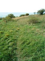 Kupferschieferbergbau Bottendorf Bild: Kupferschieferbergbau Bottendorf