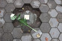 Bild: Stolpersteine in Sondershausen verlegt