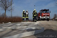 Erfolgreich ausgebildeter Nachwuchs Bild: Erfolgreich ausgebildeter Nachwuchs