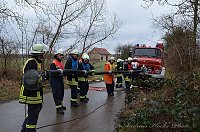 Erfolgreich ausgebildeter Nachwuchs Bild: Erfolgreich ausgebildeter Nachwuchs