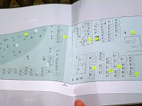 Rundgang auf Jüdischem Friedhof Bild: Rundgang auf Jüdischem Friedhof