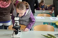 Bild: Das Scholl-Gymnasium am Samstag