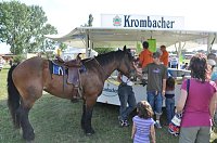 Kampf der Giganten Sundhausen Bild: Kampf der Giganten Sundhausen