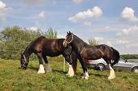 Kampf der Giganten Sundhausen Bild: Kampf der Giganten Sundhausen