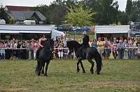 Kampf der Giganten Sundhausen Bild: Kampf der Giganten Sundhausen