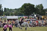 Kampf der Giganten Sundhausen Bild: Kampf der Giganten Sundhausen