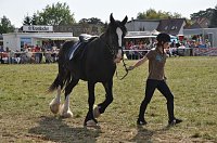 Kampf der Giganten Sundhausen Bild: Kampf der Giganten Sundhausen