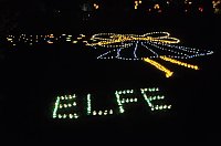 Bild: Lichterfest 2009