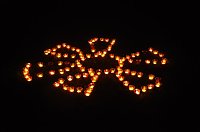 Bild: Lichterfest 2009