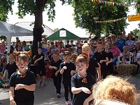 Auf dem Bauernhof war zum 25. Straßenfest etwas los Bild: Auf dem Bauernhof war zum 25. Straßenfest etwas los