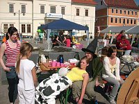 12. Familienfest Sondershausen Bild: 12. Familienfest Sondershausen