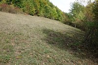 Projektfläche Teichtal Hainrode nach Beendigung der Pflegemaßnahmen Bild: Projektfläche Teichtal Hainrode nach Beendigung der Pflegemaßnahmen