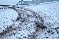 Zwei Unfälle kurz hintereinander Bild: Zwei Unfälle kurz hintereinander
