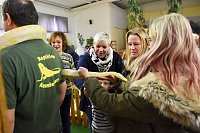 Reptilien Ausstellung Bild: Reptilien Ausstellung