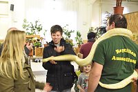 Reptilien Ausstellung Bild: Reptilien Ausstellung