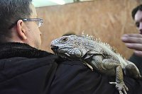 Reptilien Ausstellung Bild: Reptilien Ausstellung