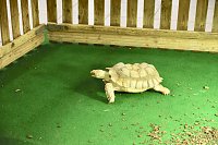 Reptilien Ausstellung Bild: Reptilien Ausstellung