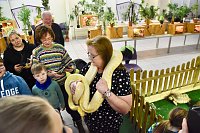 Reptilien Ausstellung Bild: Reptilien Ausstellung