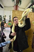 Reptilien Ausstellung Bild: Reptilien Ausstellung