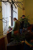 Bild: Exotisches aus Sondershausen