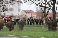 Rückkehr aus Litauen Bild: Rückkehr aus Litauen