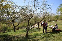 Bild: Gro&szlig;artiger MDR Osterspaziergang in Bad Frankenhausen