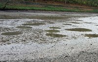 Bild: Blutspendetermine, Parkteich und Lampionumzug