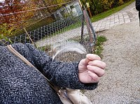 Bild: Der Possen- sch&ouml;n zu jeder Jahreszeit