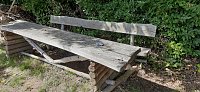 Bild: Vertrocknete B&auml;ume, B&auml;nke und mehr