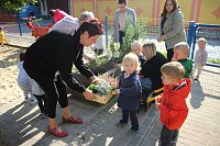Bild: Herbstputz und Herbstpflanzung in Stocksen