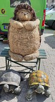 Bild: Pflanzenmarkt in Sondershausen gut besucht