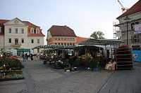 Bild: Pflanzenmarkt in Sondershausen gut besucht