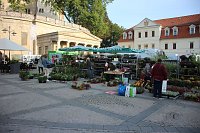 Bild: Pflanzenmarkt in Sondershausen gut besucht