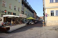 Bild: Pflanzenmarkt in Sondershausen gut besucht