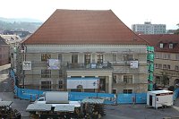 Bild: Pflanzenmarkt in Sondershausen gut besucht