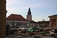 Bild: Pflanzenmarkt in Sondershausen gut besucht
