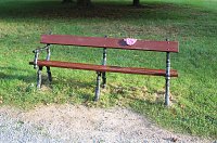 Bild: Gang durch den Schlosspark