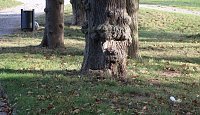 Bild: Gang durch den Schlosspark