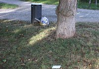 Bild: Gang durch den Schlosspark
