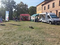 Bild: Kinderfest auf der Theaterwiese