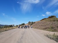 Bild: Haldenwanderung zum Tag des Geotops