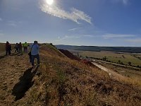 Bild: Haldenwanderung zum Tag des Geotops