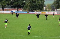 Bild: Verdienstvolle Faustballer geehrt
