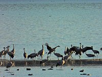 Bild: Peter Blei unterwegs am Stausee Kelbra